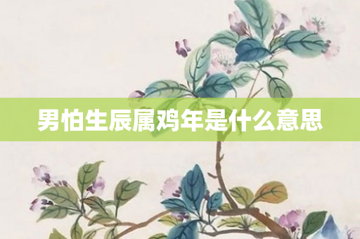 男怕生辰属鸡年是什么意思