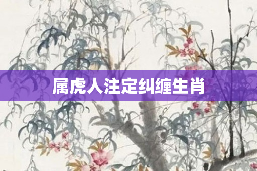 属虎人注定纠缠生肖