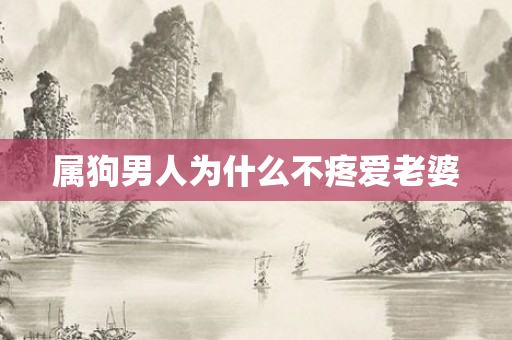属狗男人为什么不疼爱老婆