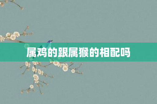 属鸡的跟属猴的相配吗