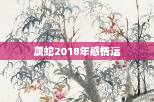 属蛇2018年感情运