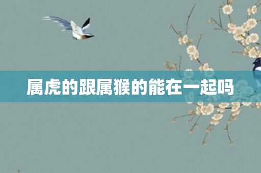 属虎的跟属猴的能在一起吗