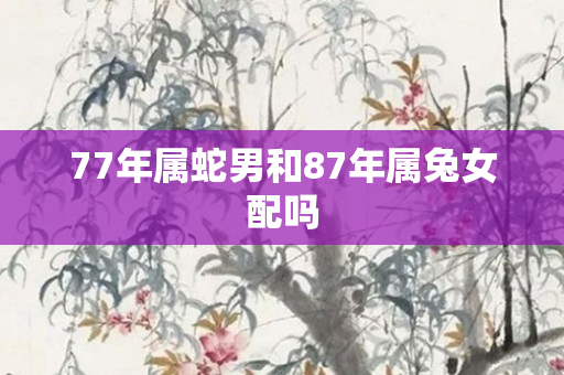 77年属蛇男和87年属兔女配吗