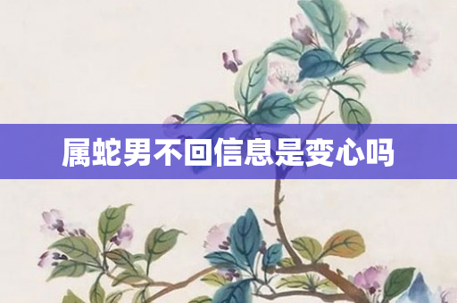 属蛇男不回信息是变心吗