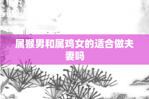 属猴男和属鸡女的适合做夫妻吗