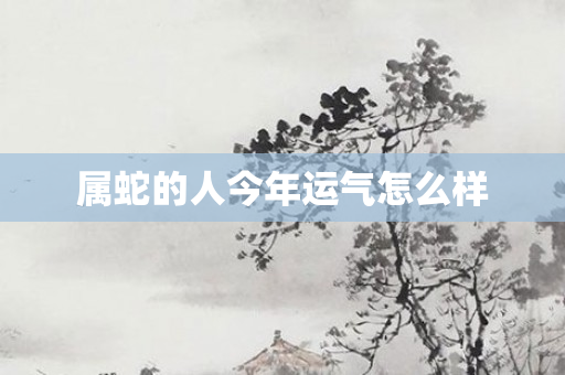 属蛇的人今年运气怎么样