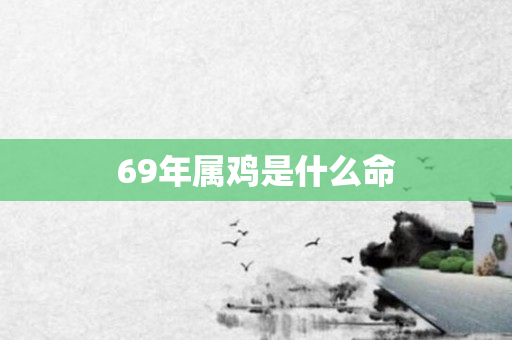 69年属鸡是什么命