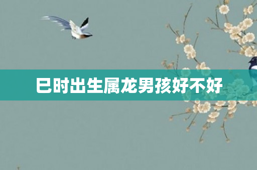 巳时出生属龙男孩好不好