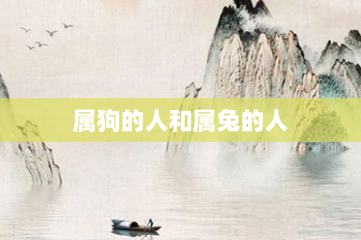 属狗的人和属兔的人