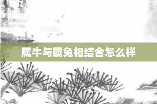 属牛与属兔相结合怎么样