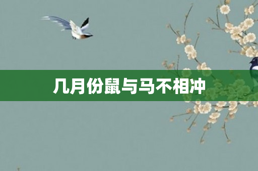 几月份鼠与马不相冲