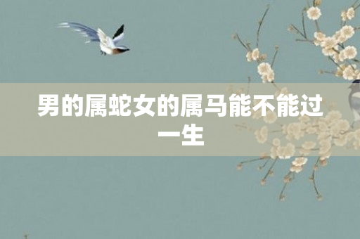 男的属蛇女的属马能不能过一生