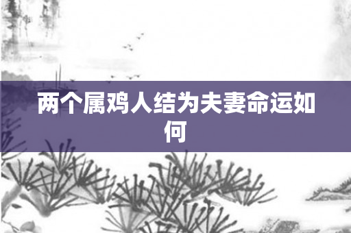 两个属鸡人结为夫妻命运如何