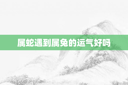 属蛇遇到属兔的运气好吗
