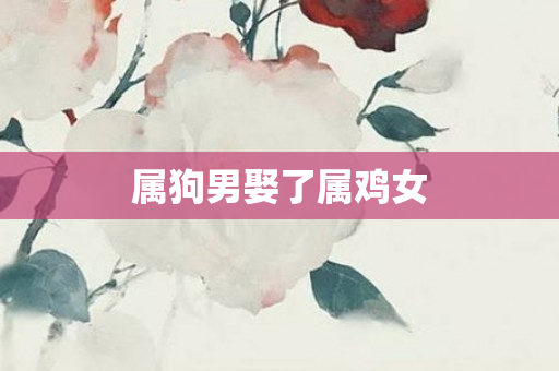 属狗男娶了属鸡女