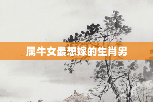属牛女最想嫁的生肖男