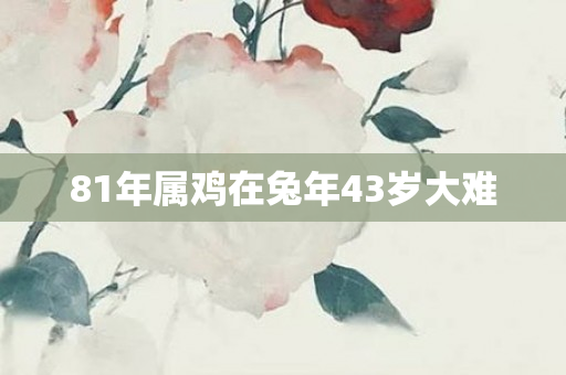 81年属鸡在兔年43岁大难