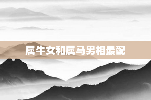 属牛女和属马男相最配