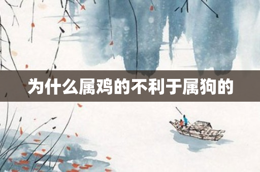 为什么属鸡的不利于属狗的
