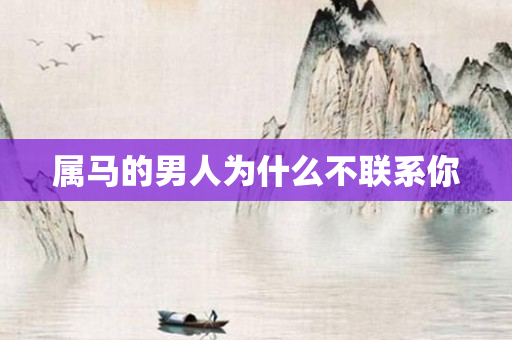 属马的男人为什么不联系你