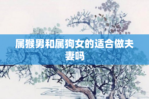 属猴男和属狗女的适合做夫妻吗