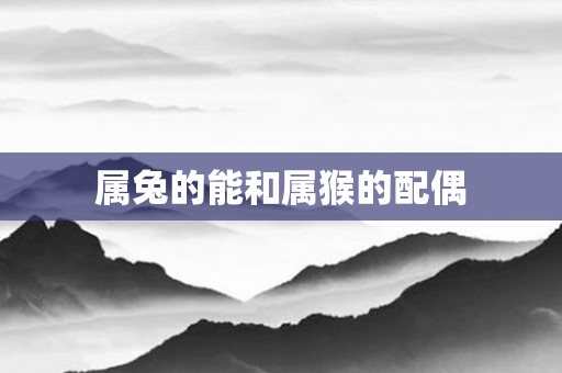 属兔的能和属猴的配偶