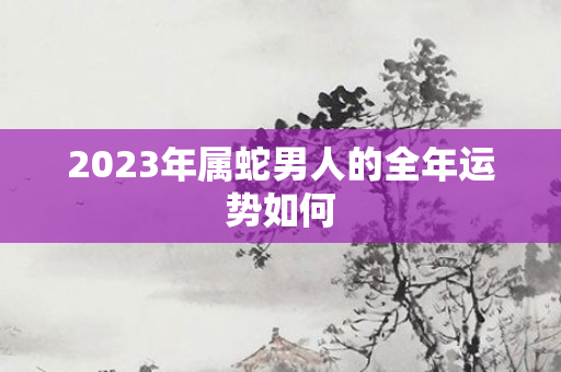 2023年属蛇男人的全年运势如何