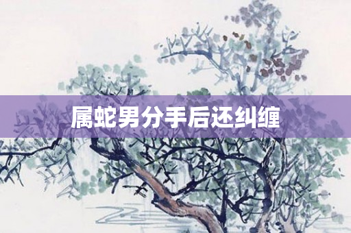 属蛇男分手后还纠缠