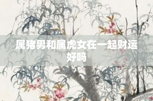 属猪男和属虎女在一起财运好吗