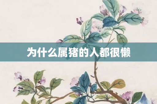 为什么属猪的人都很懒