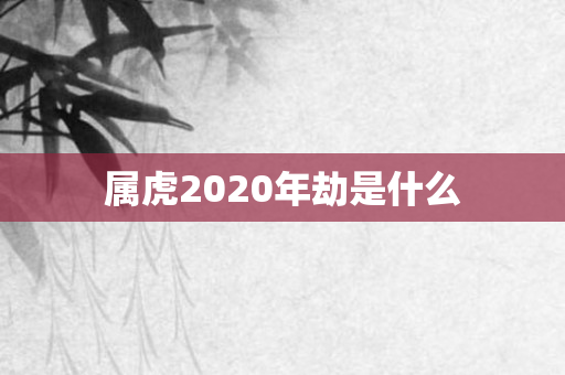 属虎2020年劫是什么
