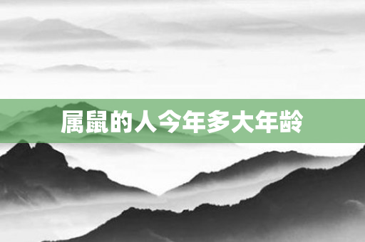 属鼠的人今年多大年龄