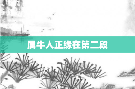 属牛人正缘在第二段