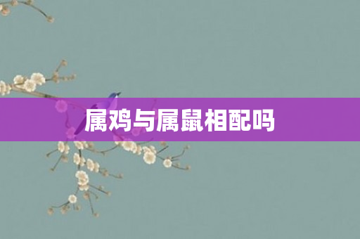 属鸡与属鼠相配吗