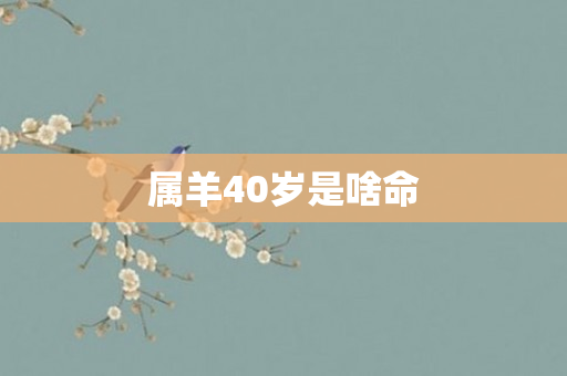 属羊40岁是啥命