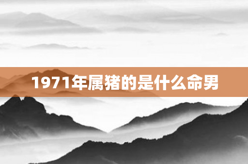 1971年属猪的是什么命男