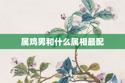 属鸡男和什么属相最配