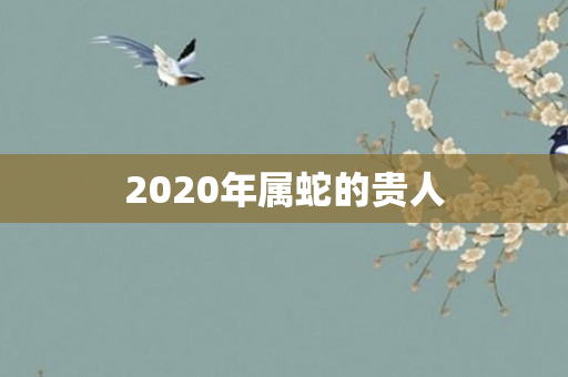 2020年属蛇的贵人