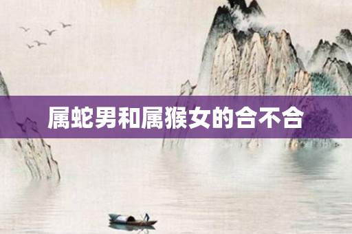 属蛇男和属猴女的合不合