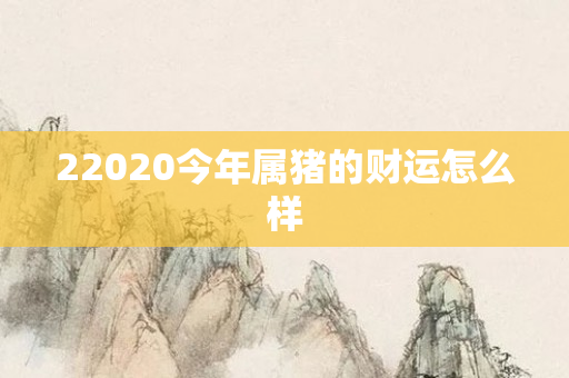 22020今年属猪的财运怎么样