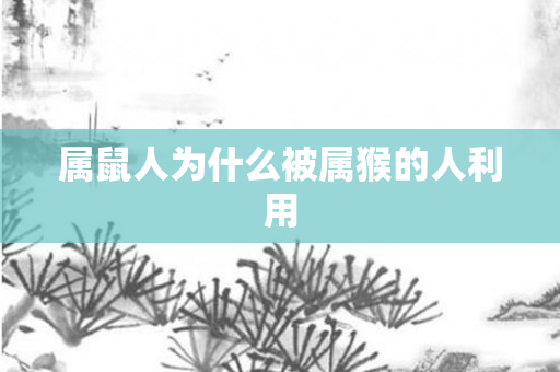 属鼠人为什么被属猴的人利用