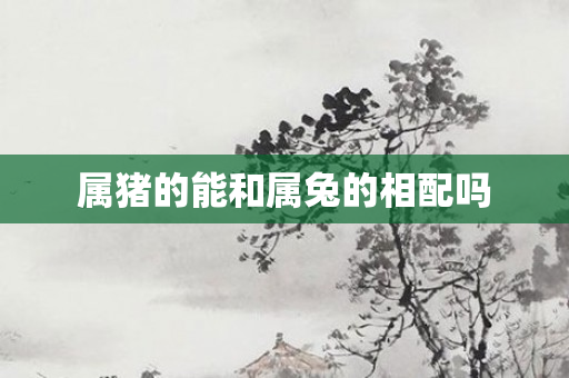 属猪的能和属兔的相配吗
