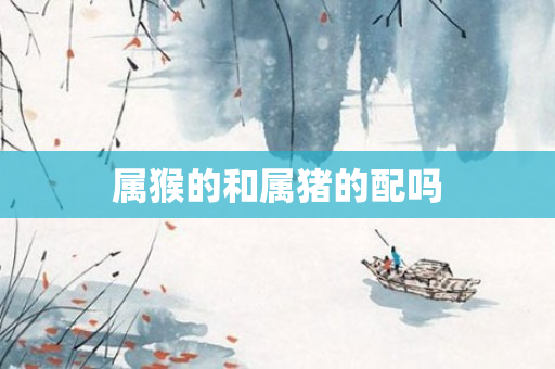 属猴的和属猪的配吗