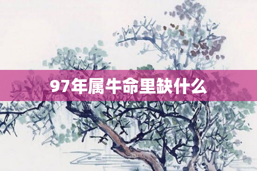 97年属牛命里缺什么