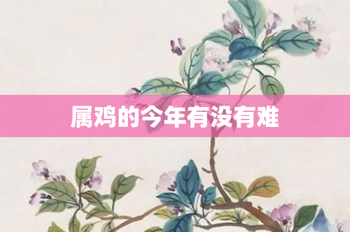 属鸡的今年有没有难