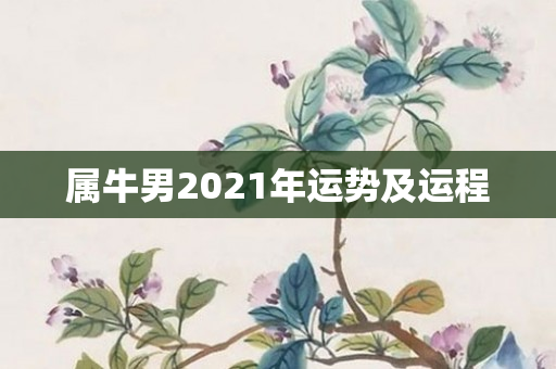 属牛男2021年运势及运程