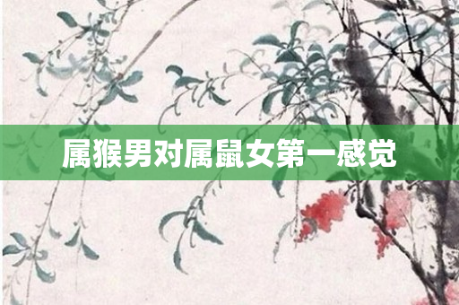 属猴男对属鼠女之一感觉