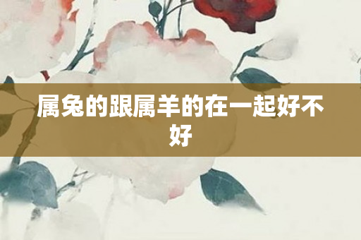 属兔的跟属羊的在一起好不好