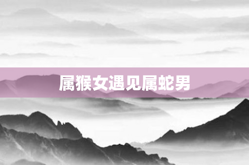 属猴女遇见属蛇男
