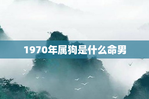 1970年属狗是什么命男